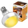 Terrarium Heater Bulb for Reptiles and Amphibians Warm 25W