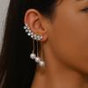 European & American Long Tassel Zircon Stud Earrings for Women - Trendy, Light Luxury Niche Ear Accessories