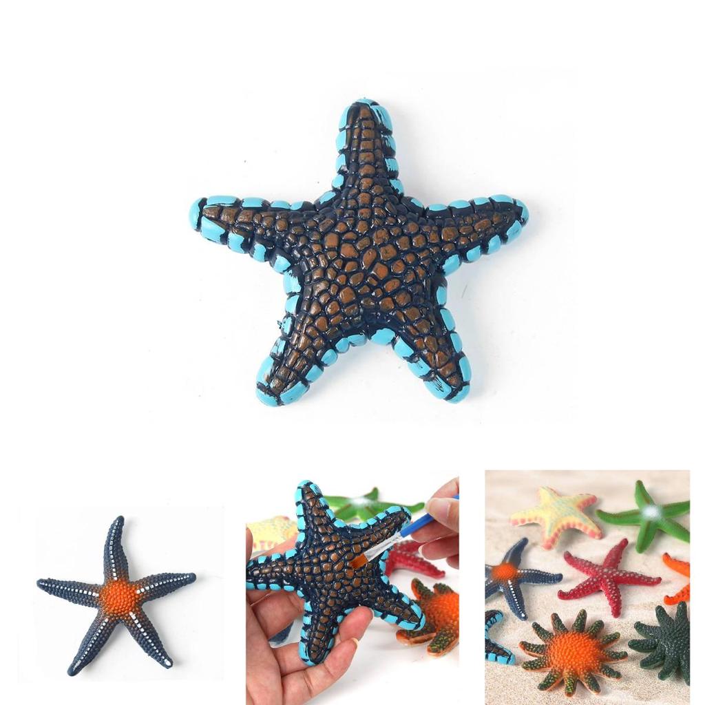 Modelli Autentici di Animali Stella Marina Per Bambini Giocattoli Educativi da Spiaggia Set Colorato in PVC