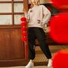 Li-Ning Sports Life Series Daily Progress Gold Embroidery Loose Round Neck Pullover Sweatshirt Women Tops Misty-Apricot AWDS158-1