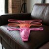 Low Waist Men Thongs Underpants Male Briefs Soft Men's Panties  Sports