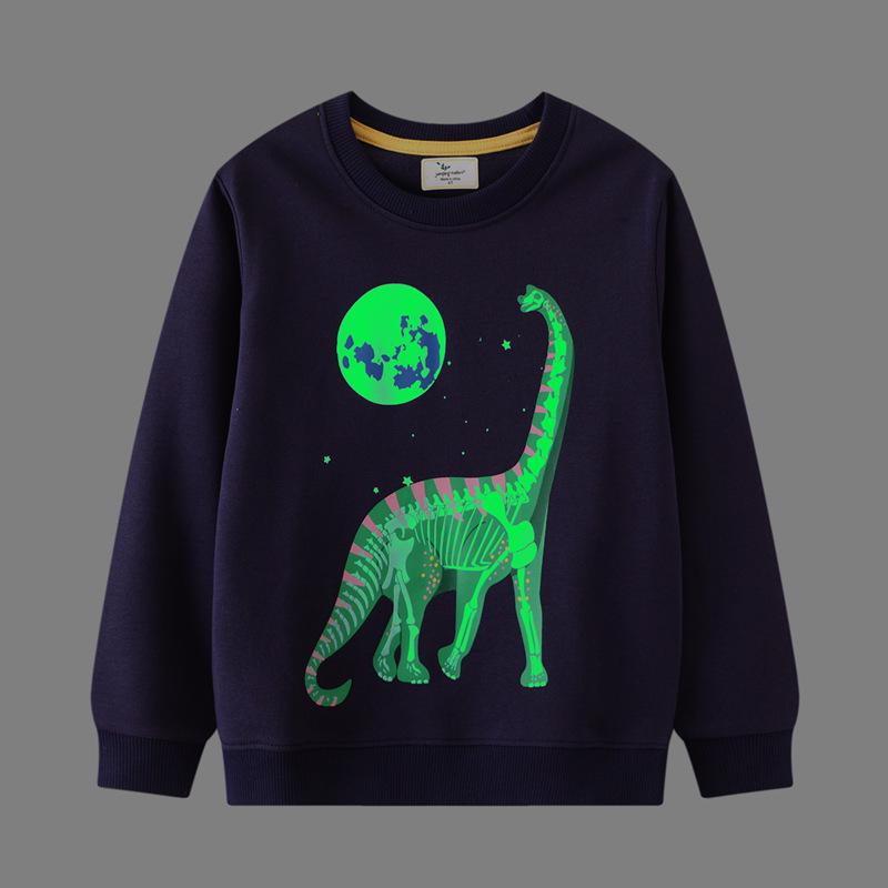 

European Boys Crewneck Hoodie Shirt - Autumn New Arrivals, Long Sleeve for Toddlers and Kids 5T (100-110 cm)
