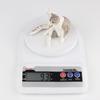 British Shorthair Kitten Simulation Toy - Cute Cognitive Birthday Gift for Kids