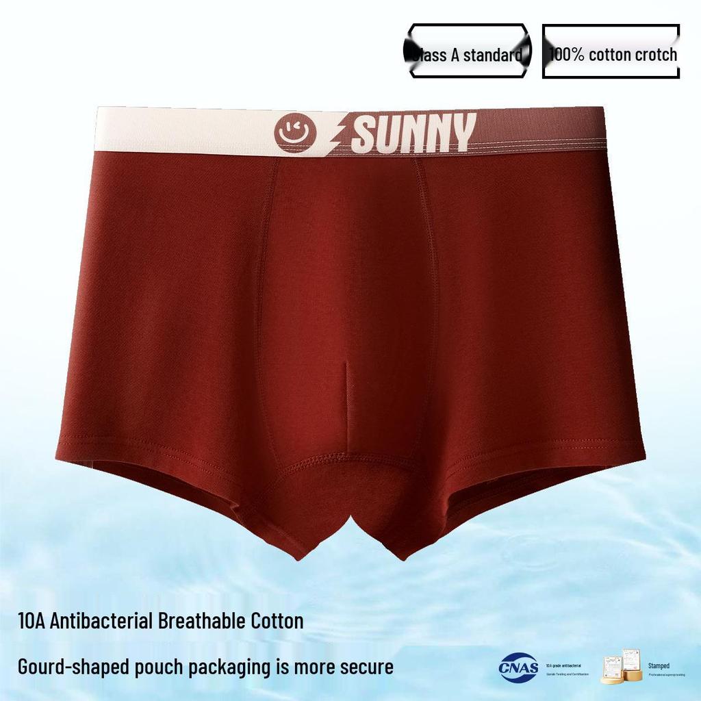 Men's Plus Size 100% Cotton Antibacterial Boxer Briefs