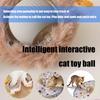 Interactively Hunting Cover Cats Toy Set with Removable Teaser with Large Mats for Indoor Exercise and Mental Stimulation