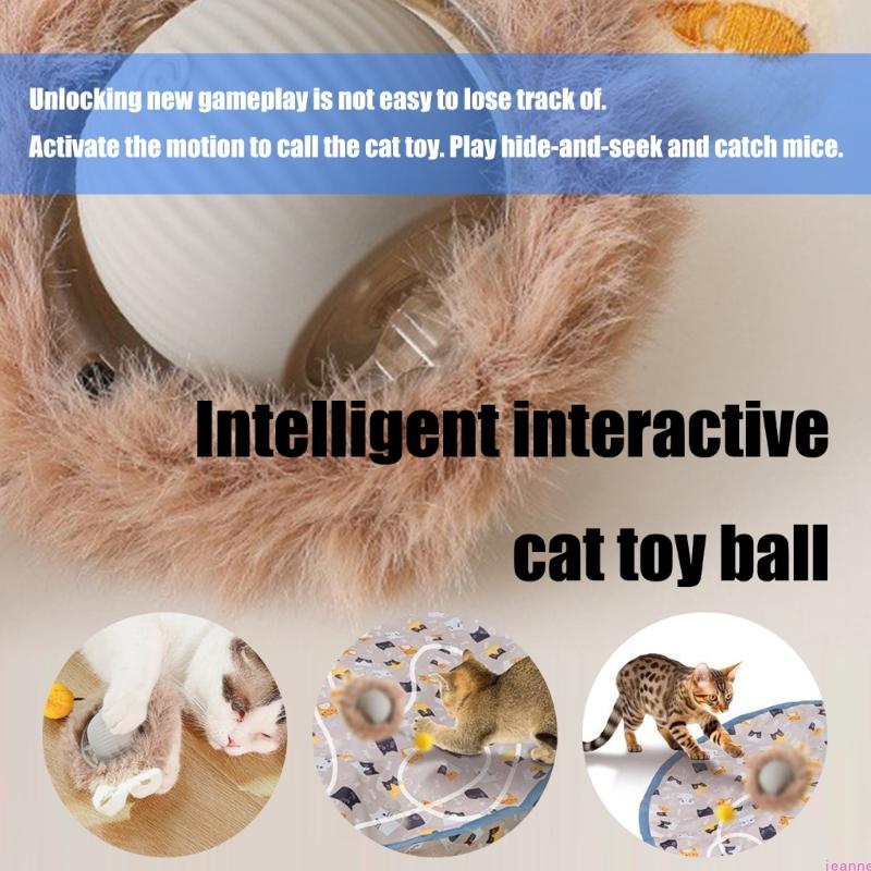 Interactively Hunting Cover Cats Toy Set with Removable Teaser with Large Mats for Indoor Exercise and Mental Stimulation