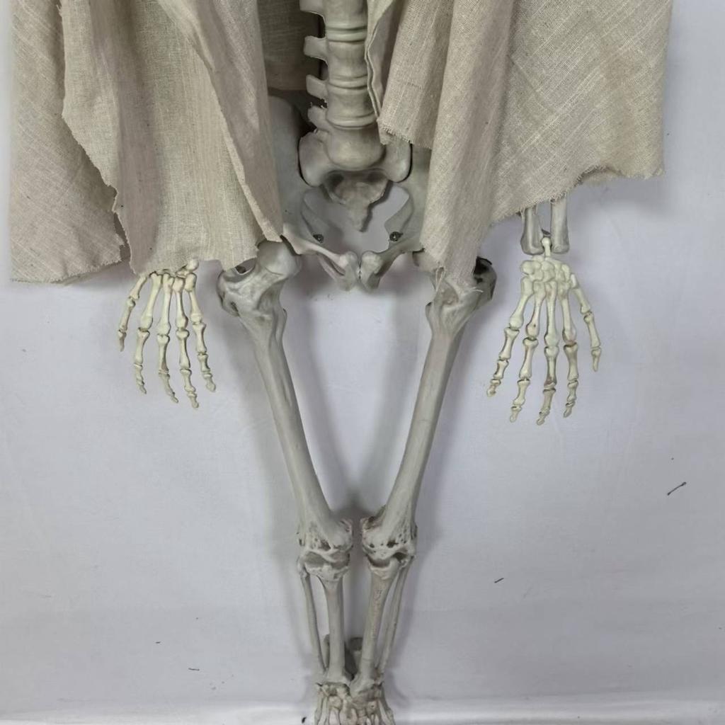 Halloween 5.5ft Skeleton Simulation Human Plastic Skeleton Haunted House Prop Skeleton Decoration