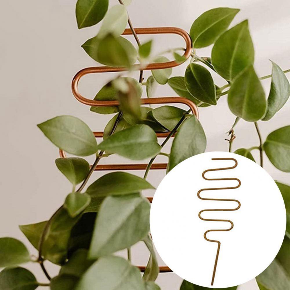 

Metal Multifunctional Rustproof Planting Rack Indoor Trellis Flower Climbing Holder Stand Frame A