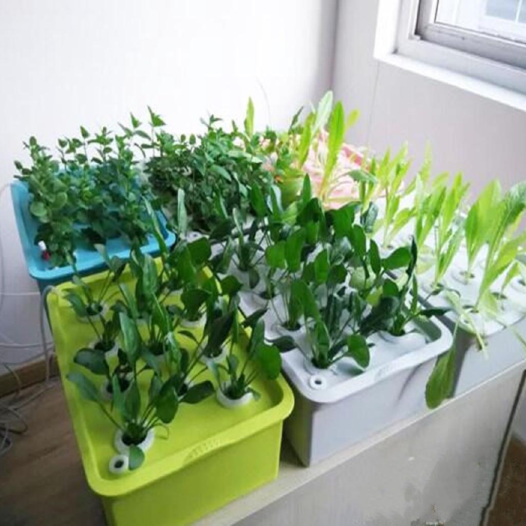 9/24 Holes Indoor Aerobic Soilless Cultivation Plant Floriculture Cultivation Site Hydroponic System Kit 220V