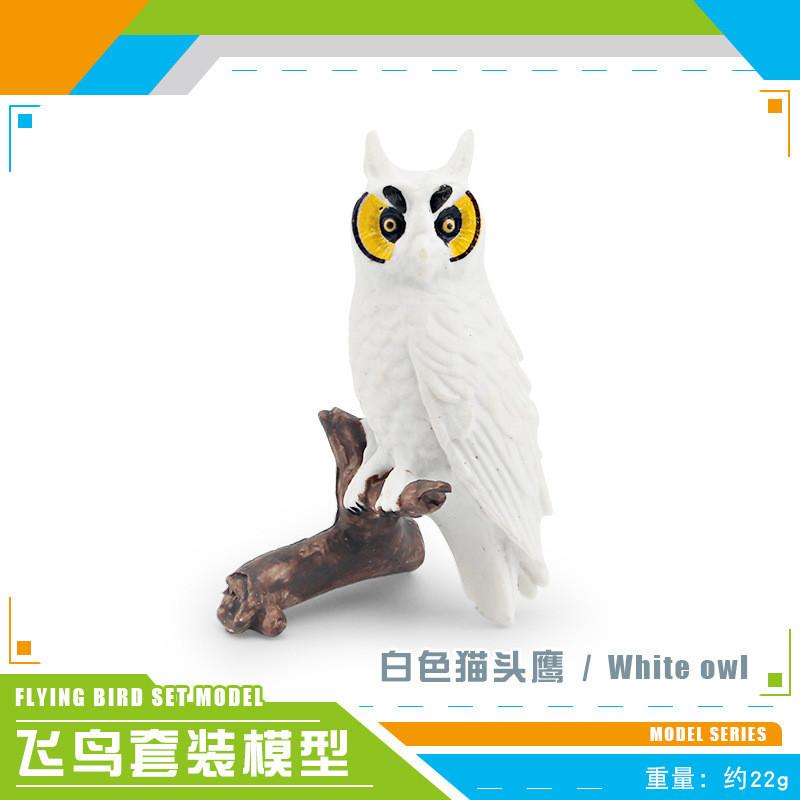 Exquisite Realistic Bird Models In Pvc Material Showcasing Colorful Parrots Owls And Songbirds