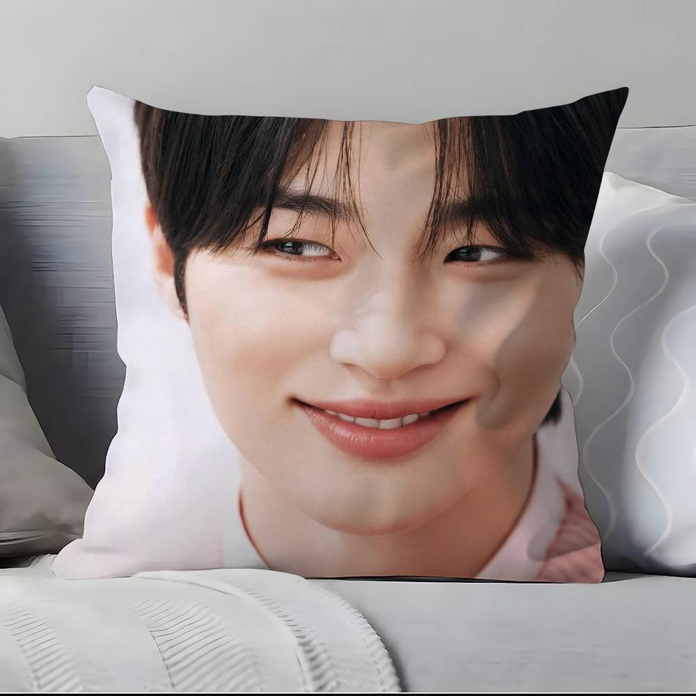 B-B-Byeon W-W-Woo-seok Pillow Case Pillowcase Soft Skin Friendly & Comfortable With A Hidden Zipper