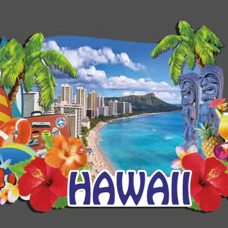 USA Refrigerator Magnet Souvenir - Statue of Liberty, NYC, LA, SF, Hawaii, Boston