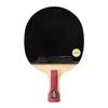 DHS Hurricane Series Table Tennis Racket