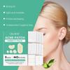 Breathable Invisible  Patch Set Waterproof Concealer Stickers Pore Repair Oil Absorbing Long Lasting for Outdoor Activity