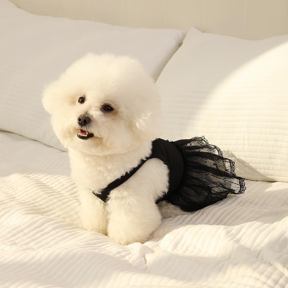 Princess Style Pet Dresses Lace Detail Pet Vest Princess Dog Skirts For Dogs