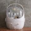 Dustproof Large Capacity Cosmetic Storage Box Bathroom Desktop Beauty Makeup Organizer Skin Care Storage Drawer Waterproof