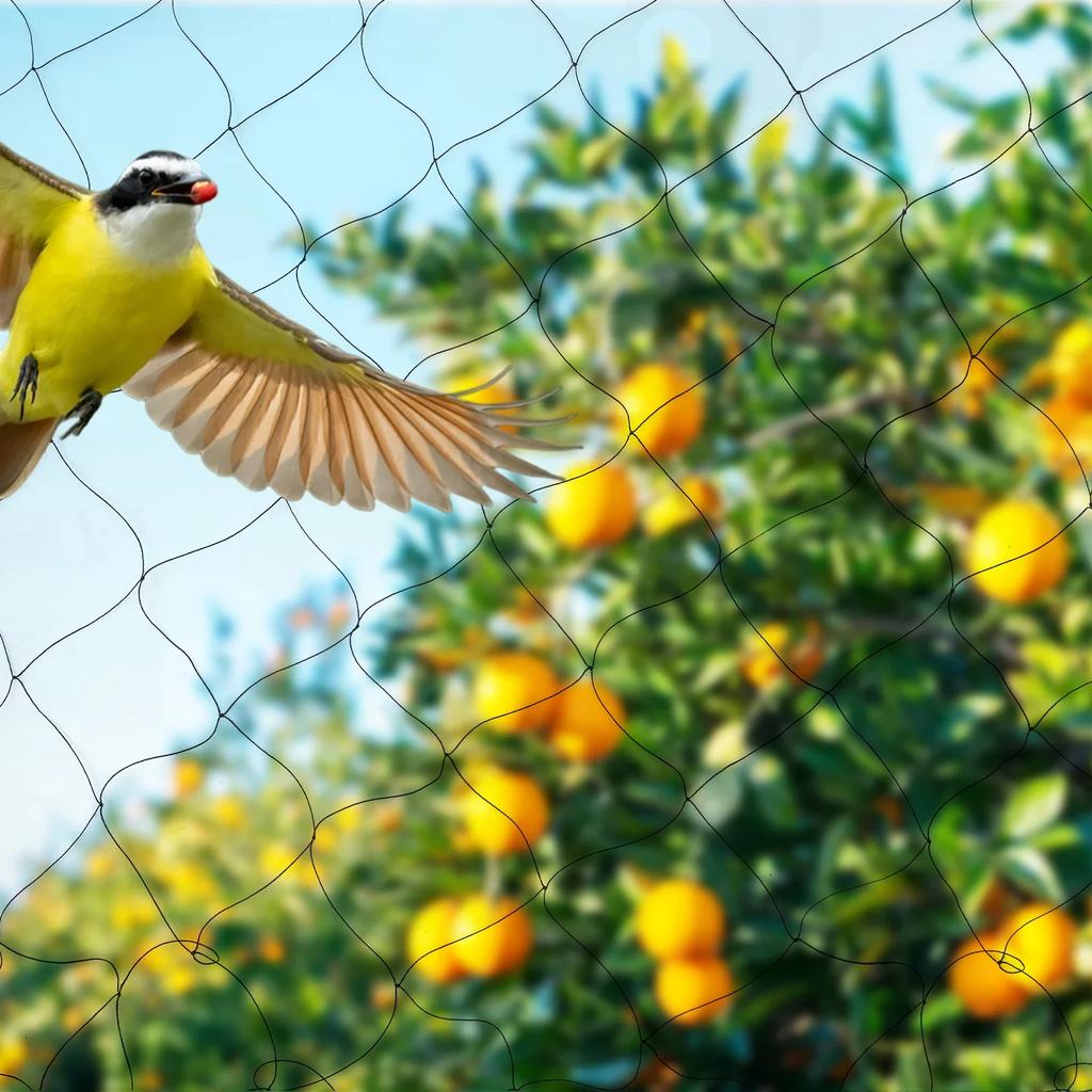 Bird Protection Net, 30 X 15 M, Stable Bird Net, Black Aviary Net, Plant Net, Pond Net, Garden Net, Pond Cover Net for Garden