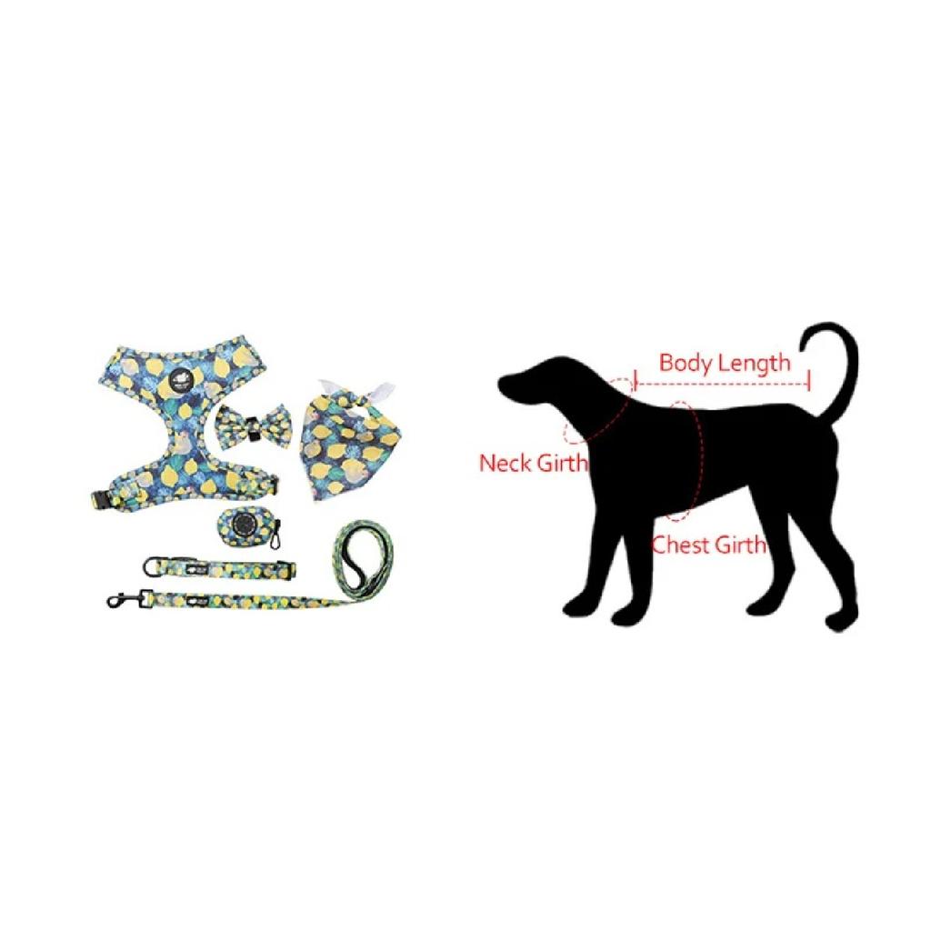 Pet Harness Vest Collar Leash Set Adjustable Dog Collar Dog Poop Bag Holder Dogs Bowtie Triangle Scarf Set Dog Accessories