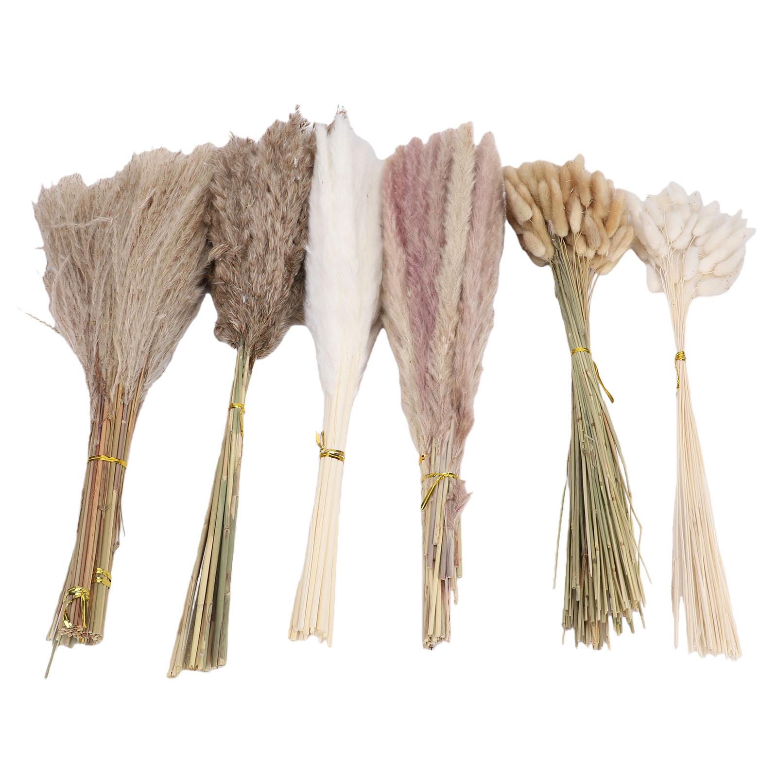 

Boho Dried Flowers Bouquet Pampas Grass Dried Bunny Tail Grass Reed Grass Kit for Flower Arrangement Type 1