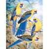 5D Diamond Painting Birds Kit DIY Full Drill Round Diamond Embroidery Animal Mosaic Picture of Rhinestones Home Decoration