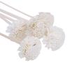5Pcs Flower Rattan Reeds Fragrance Diffuser Non-Fire Replacement Refill Sticks