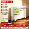Hao Fei Smart Water-Filled Electric Radiator