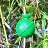 5PCS Plastic Grafting Rooting Ball Fast Propagation Nursery Ball Root Ball Propagation Hydroponics Safety Locks