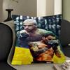Charles Oliveira Pillow Cushion Cover Pillowcase Living Room Sofa Home Decor Customized