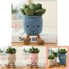 Lifelike Succulent Plants Plush Stuffed Toy Featuring Super Soft Fabric Ideal For Kids