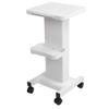 Beauty Salon Trolley with Wheels Beauty Instrument Base Trolley Iron Beauty Instrument Tattoo