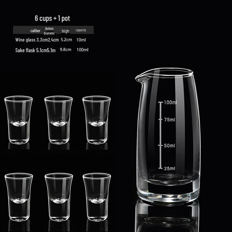 Glass Wine Decanter & Dispenser Set