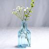 Nordic Retro Glass Vase - Mini Decorative Hydroponic Bottle for Living Room Decor