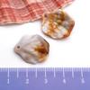 Gold-Plated Natural Shell Conch Pendant for DIY Necklace, Earrings, Wind Chime, or Hanging Ornament.