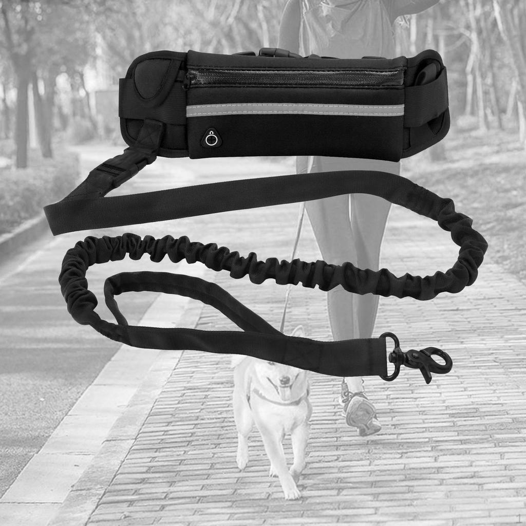 Leash with Portable Waist Bag Comfortable Pet Outdoor for Small Large Dogs Walking Running and