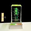 3D Carved Skeleton Brain Model Ornament - White Crystal Souvenir for Medical Students and Doctors