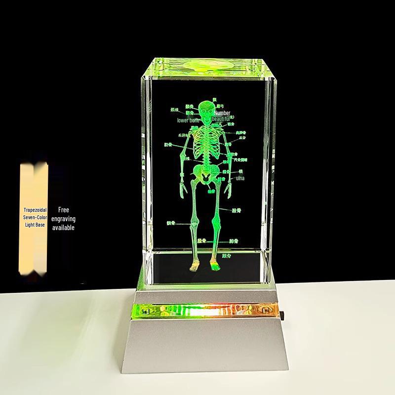 3D Carved Skeleton Brain Model Ornament - White Crystal Souvenir for Medical Students and Doctors