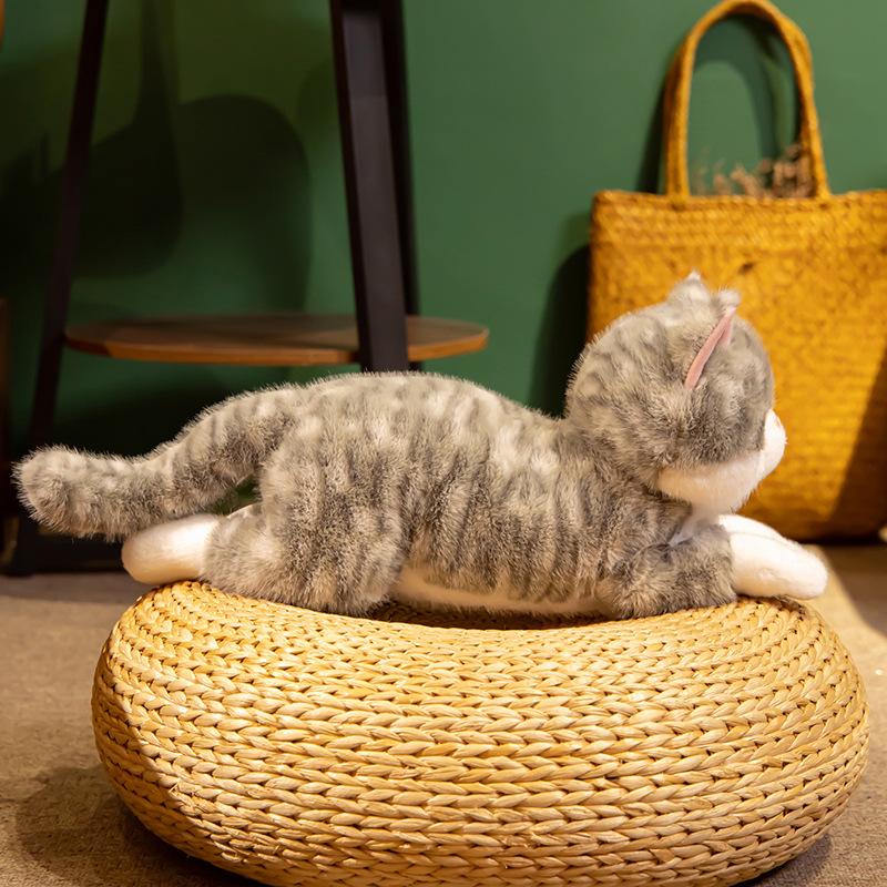 Hug Baby Simulation Cat Doll Orange Cat Cat Doll Doll Child Girl Sleeping Throw Pillow Birthday Gift Female