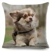 Cute Little Dog Chihuahua Cushion Cover Decor Lovely Pet Animal Pillowcase Polyester Throw Pillow Case for Sofa Home Car ,(5)