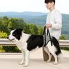 Adjustable Dog Lift Harness Comfortable Hind Leg Support Straps Dog Back Leg Sling  Joint Injuries