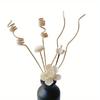 5 Pièces/6 Pièces Bâtonnets Parfumés aux Fleurs Aromathérapie Sans Flamme Bâtonnets en Rotin Diffuseur de Parfum Décoration d'Intérieur DIY