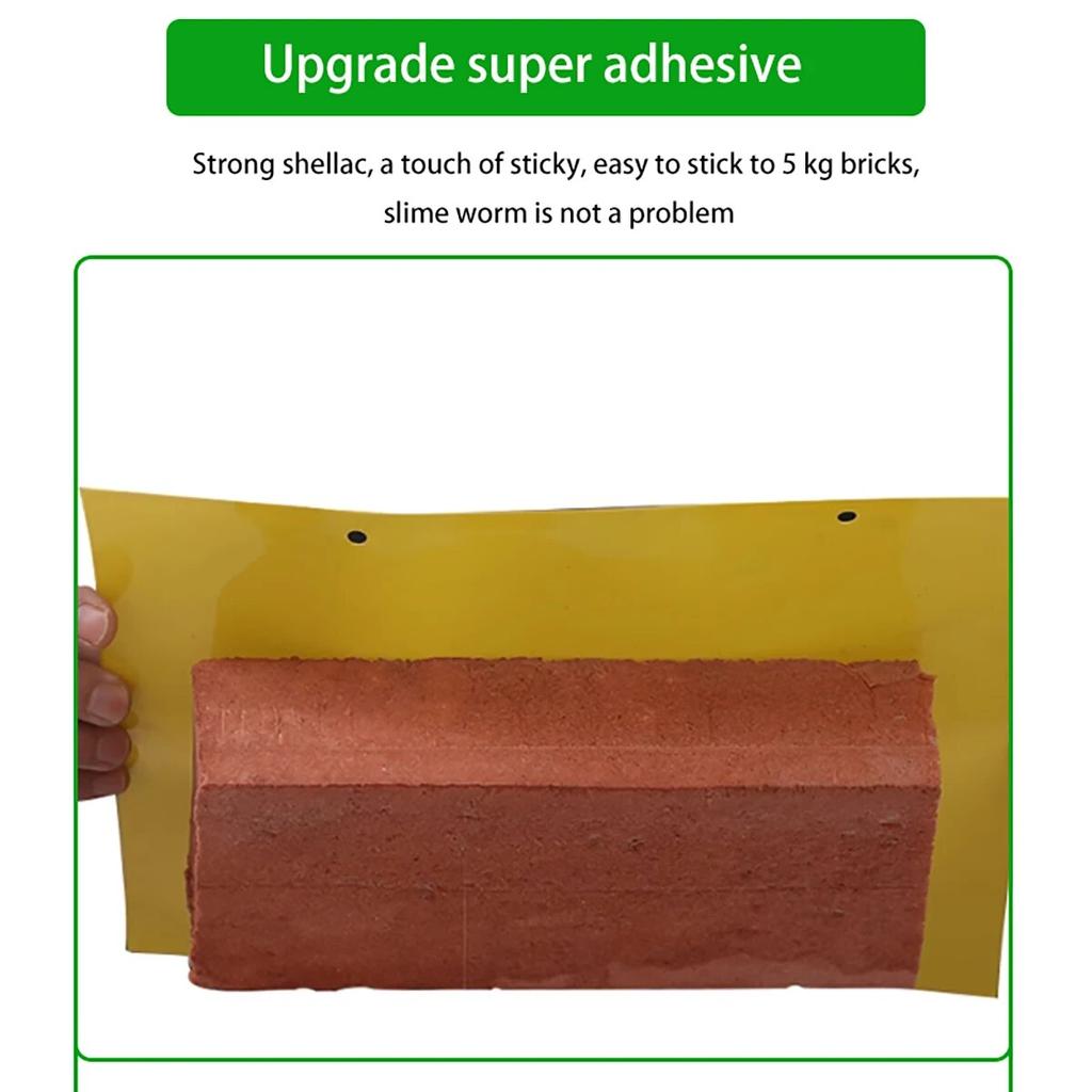 10/50 Stück gelbe Insektenfallen zum Einfangen von Obstgarteninsekten und stark haftenden Schädlingen