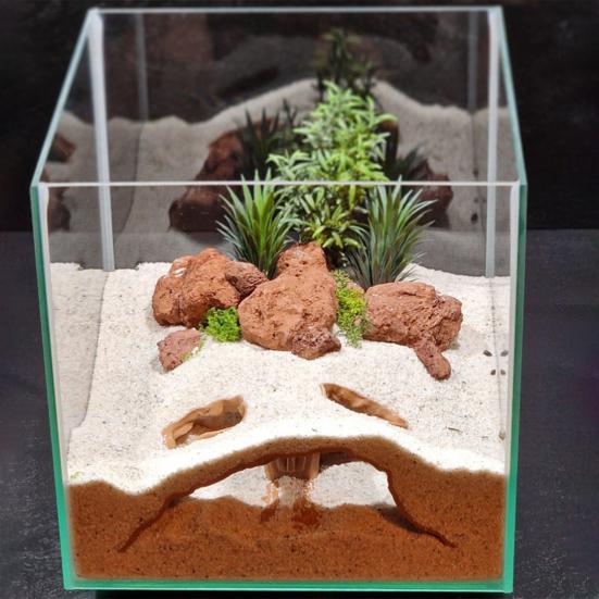 Aquarium Tunnel Cave Egyptian Pharaoh Under Gravel Tunnel Small Fish And Shrimp Hideout with Viewing Ports for Betta Pleco Shrimp Tank Decor