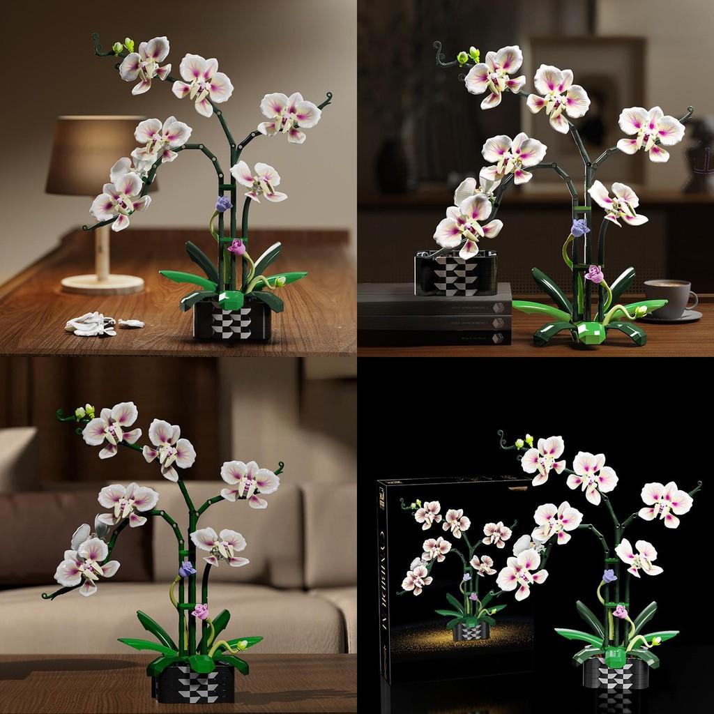 Building Cymbidium Plastic Block Flower Toy Set For Diy Creative Toy Building