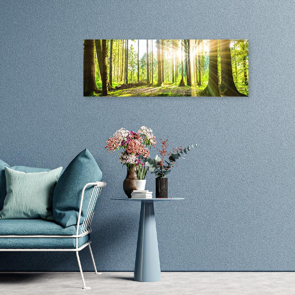 Canvas Print, Sun Rays In the Forest