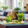 Fish Tank Simulation Water Grass Aquarium Decoration Plastic Fake Water Grass Decoration