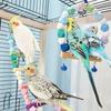 Parrots Swing for Birdcage Hanging-Perch Stand Cockatiel Ladder Birdcage Swing Climbing Ladder Toy for Parakeets Budgies