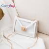 Cozy Up Transparent Bag, Small Square Bag, Crossbody Chain, Mini Women's Bag