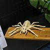 Gift Party Ornament Prank Props Horror Bones Model Scorpion Spider Mouse Bat Lizard Halloween Animal Skeleton