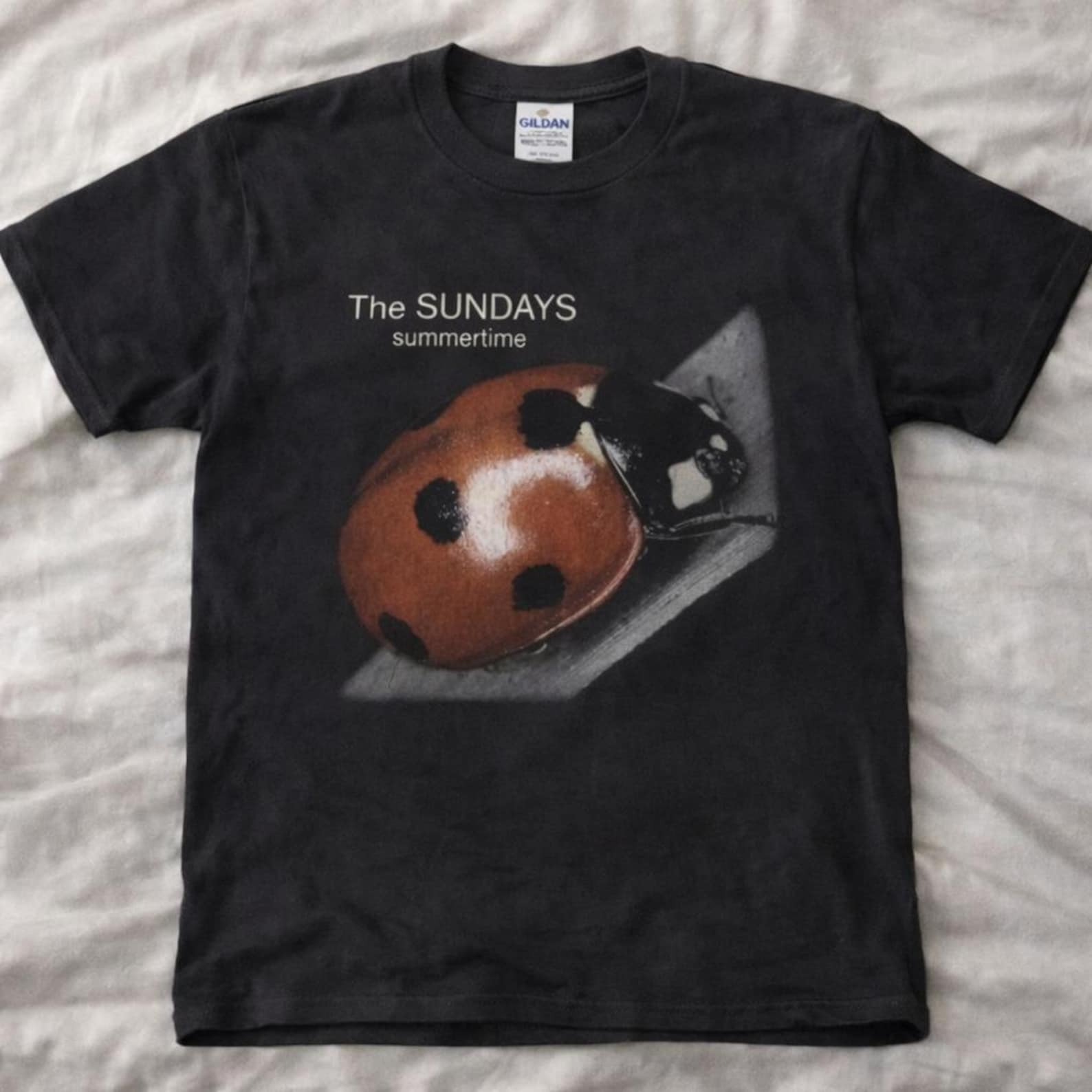 Vintage Indie Dream Pop Ladybug Graphic Shirt Gildan S