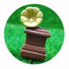 New Creative Miniature Resin Dollhouse Home Appliances Cute Cameras Telephone Photo Props Figurines Doll House Play Toys